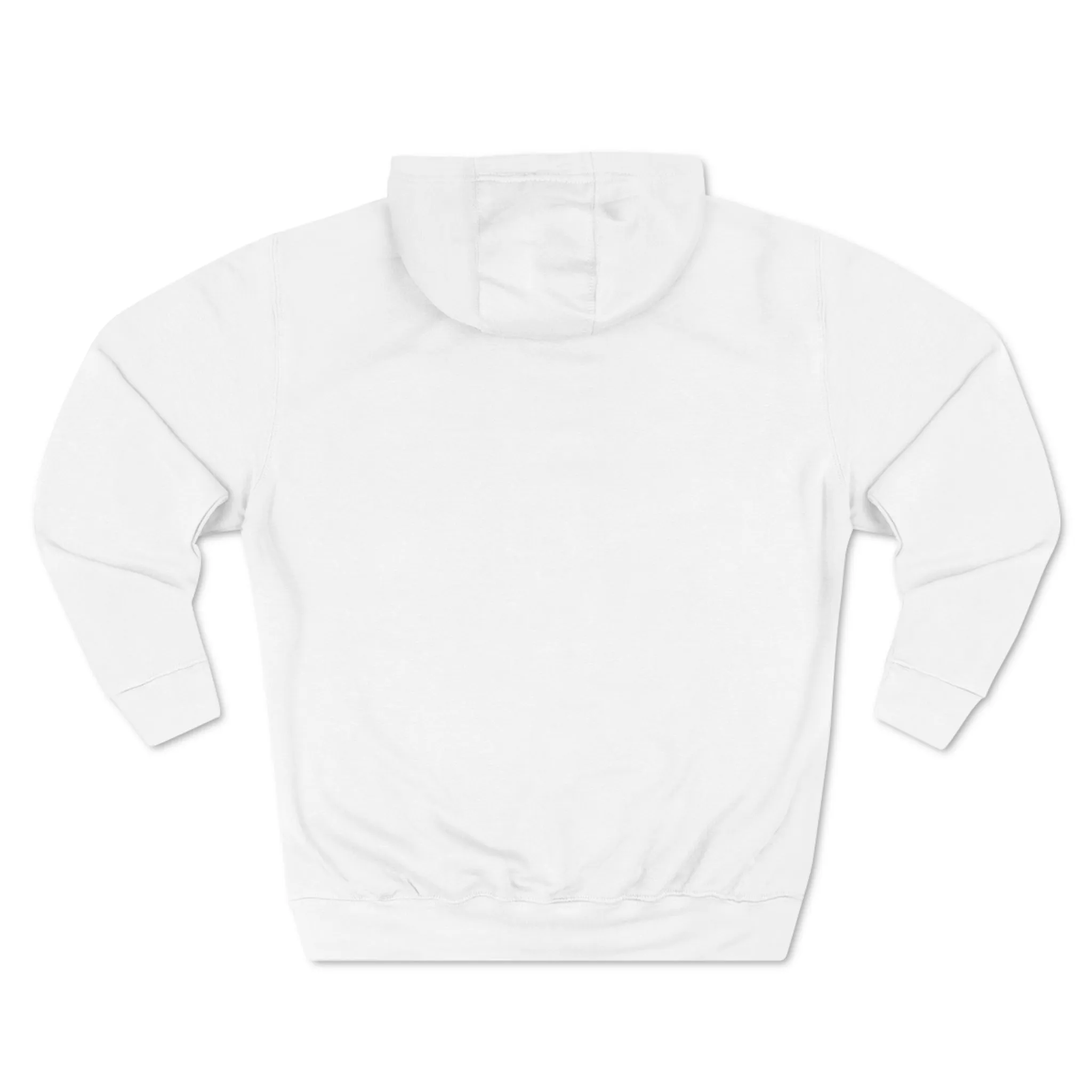 Abrosexual Pride Flag Unisex Premium Pullover Hoodie - Father's Day